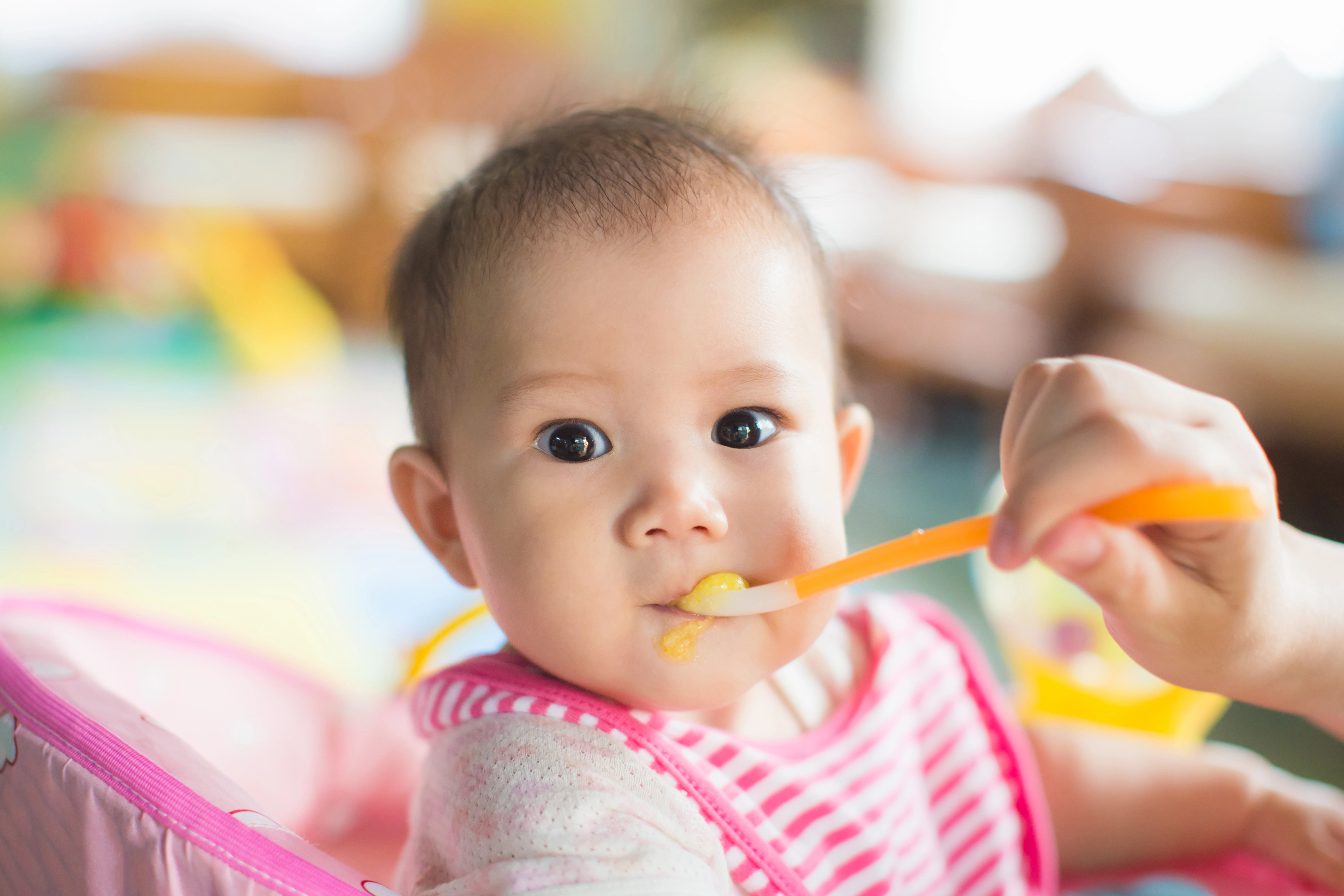 嬰兒滿6個月大便可以開始加固，即除母乳或奶粉外加入固體食物，以維持成長所需。